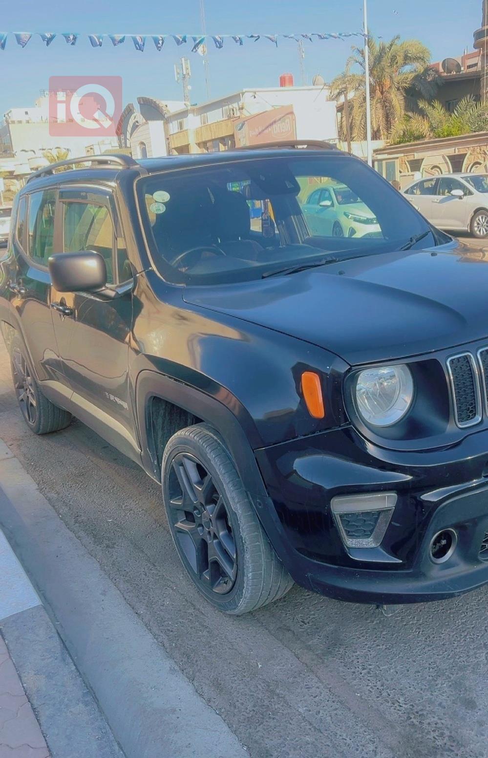 جيب رينيجيد